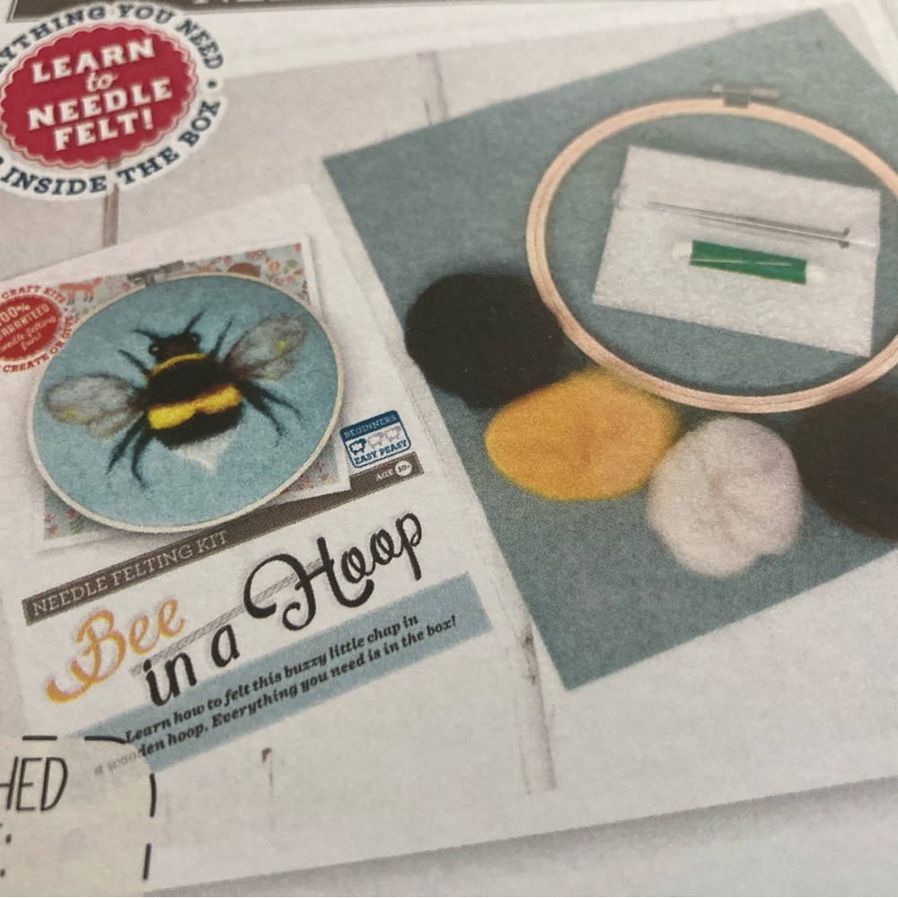 Bee 🐝 In A Hoop Needle 🪡 Felting Kit